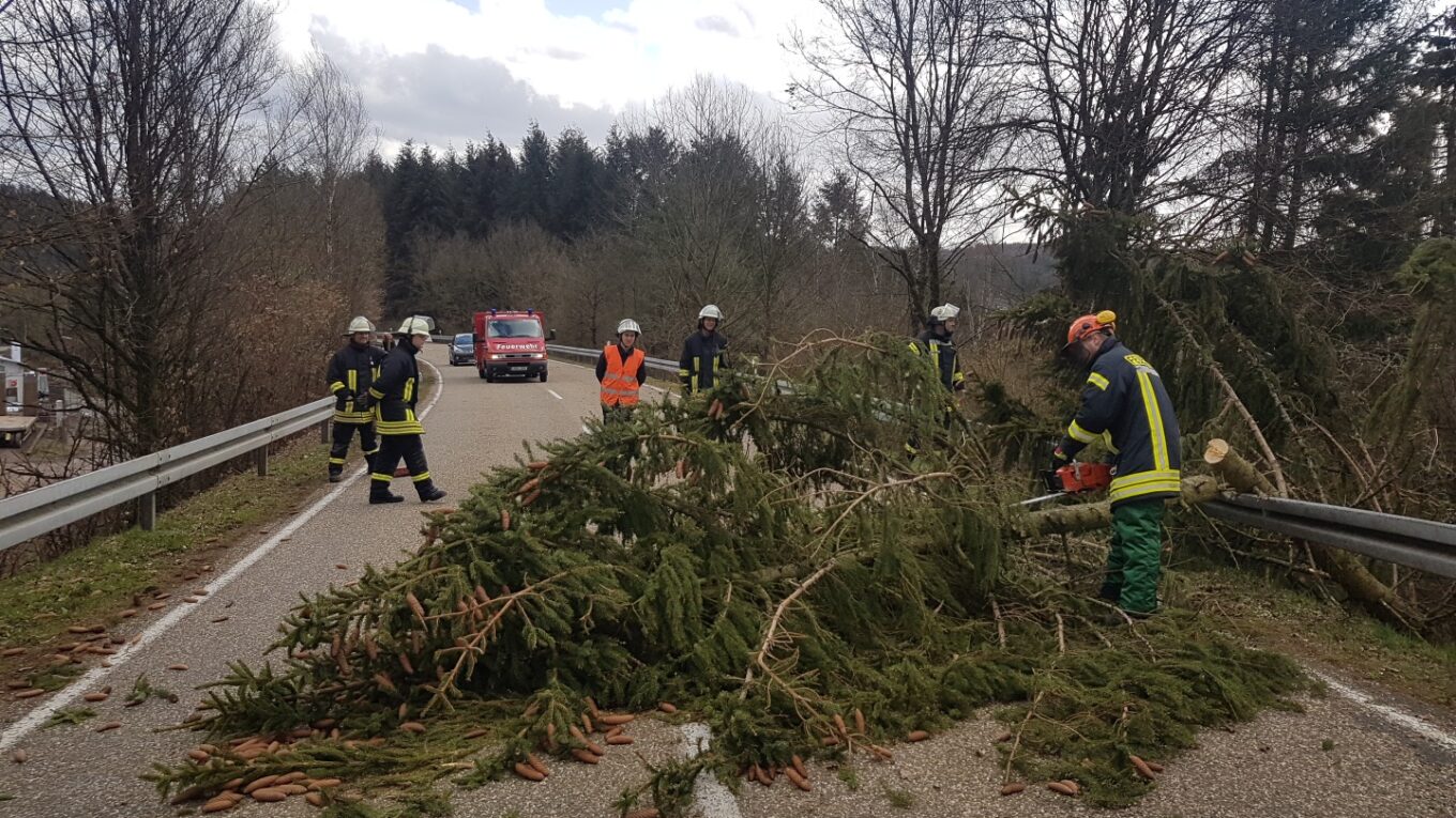 Unwettereinsätze durch Sturmtief „Eberhard“ in der Gemeinde Losheim